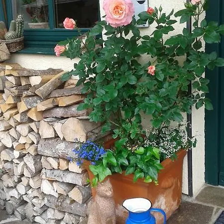 Holdhaeusl Apartment Schladming