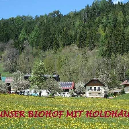 Διαμέρισμα Holdhaeusl *