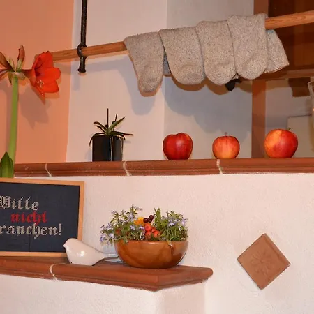 Holdhaeusl Apartamento Schladming