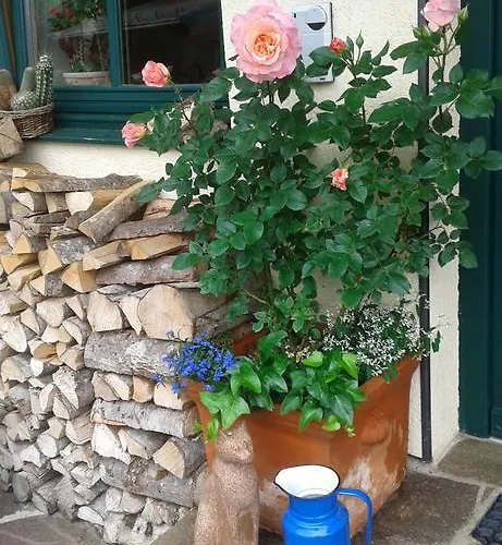 Holdhaeusl Daire Schladming